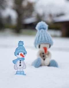 Build a Snowman Discovery Box