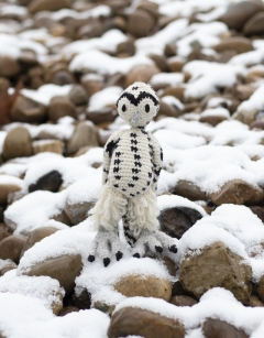 Anik the Snowy Owl