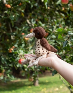 Adele the Song Thrush
