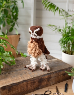 Desdemona the Spectacled Owl