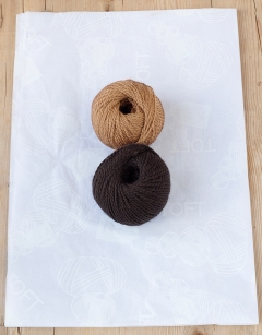 Mini Tara the Tarantula
