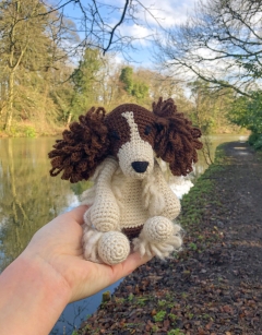 Len the Springer Spaniel