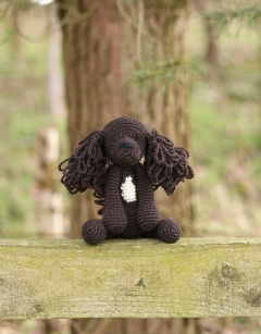 Larry the Sprocker