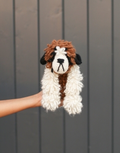Riley the St Bernard