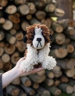 Riley the St Bernard