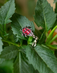 Ava the Ladybird Centraliser