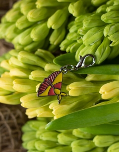Nova the Rosy Maple Moth Enamel Centraliser