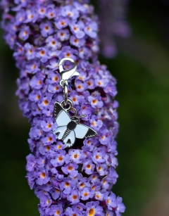 Annabel the Butterfly Centraliser