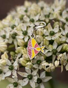 Nova the Rosy Maple Moth Enamel Centraliser