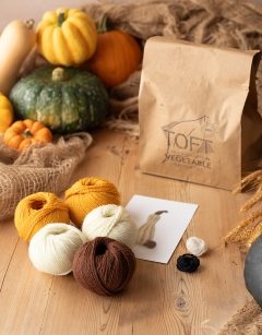 Striped Crookneck Gourd Kit
