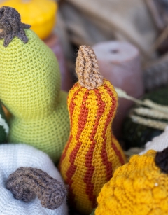 Striped Crookneck Gourd Kit