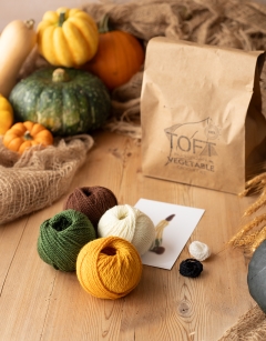 Striped Pear Gourd Kit