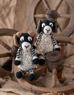 Dominic the Swaledale Sheep