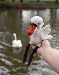 Margot the Swan