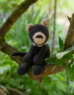 Shane the Tasmanian Devil