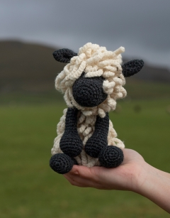 Harold the Teeswater Sheep