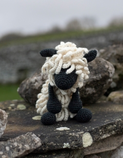 Harold the Teeswater Sheep