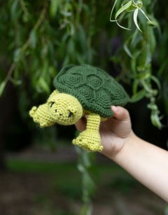 Louise the Terrapin