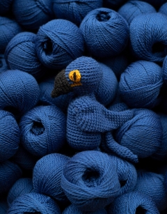 Themba the Hyacinth Macaw