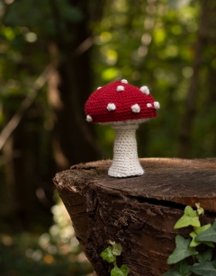 Toadstool Kit