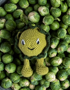 Brussels Sprout Kit