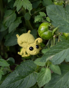 Gwendolyn the Aphid Kit
