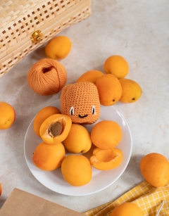 Apricot and Pear Jam Jar