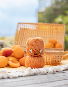 Apricot and Pear Jam Jar