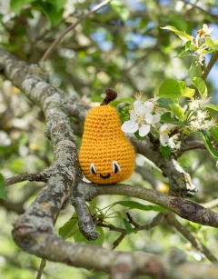 Apricot and Pear Jam Jar