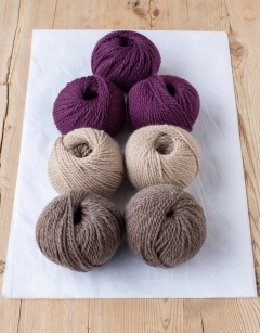 Tristan the Patchwork Armadillo