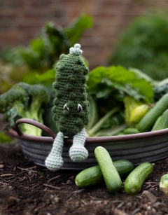 Baby Cucumber Kit