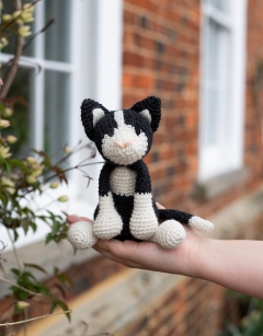 Paddy the Black and White Cat