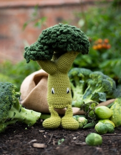 Broccoli Kit