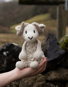 Bryn the Welsh Mountain Sheep