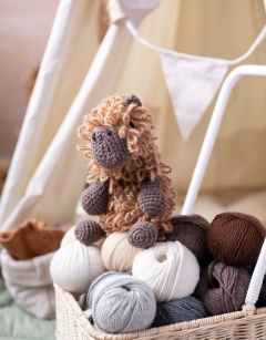 Quincy the Capybara Kit