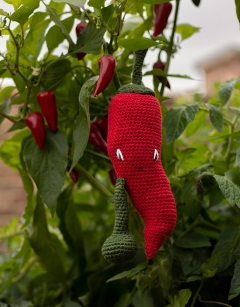 Chilli Pepper Kit