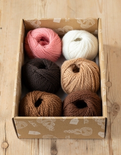 Chocolate Rabbit Discovery Box