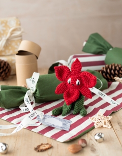 Mini Poinsettia Cracker Kit