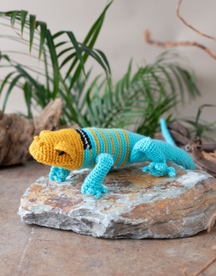 Erik the Collared Lizard