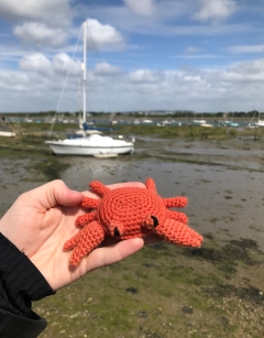 Mini Cedric the Crab
