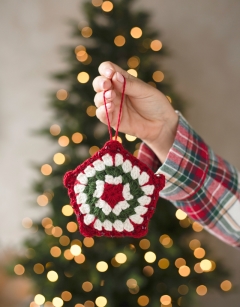 Starlight Decoration