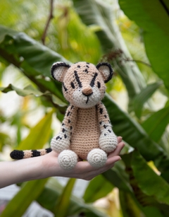 Big Cats Bundle