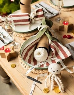 Jellyfish Cracker Kit