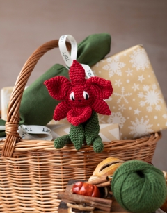 Mini Poinsettia Cracker Kit