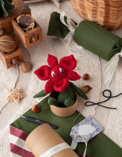 Mini Poinsettia Cracker Kit