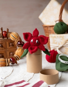 Mini Poinsettia Cracker Kit