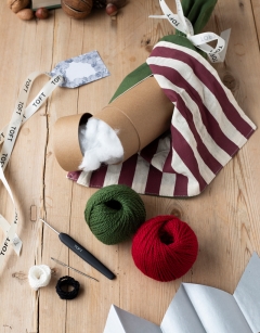 Mini Poinsettia Cracker Kit