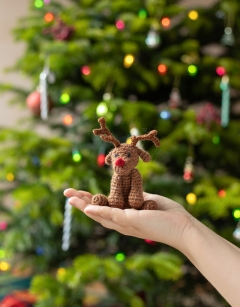 Reindeer Cracker Kit 