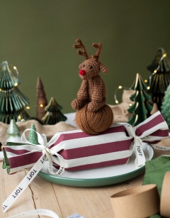 Reindeer Cracker Kit 