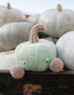 Crown Prince Pumpkin Kit